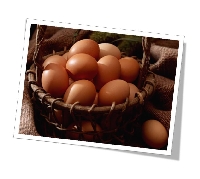 卵の動物性たんぱく質がアンチエイジング！